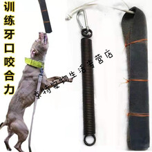 比特犬训练用品装备吊口牛皮棒带弹簧整套马犬扑咬 牛皮+30公分簧+扣