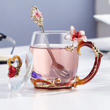 诺诗曼520情人节礼物送女友实用杯子女士玻璃杯高颜值水杯办公室泡茶杯
