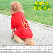 InnoPet大狗狗衣服金毛衣服夏季薄款背心大狗狗夏天卫衣拉布拉多中型犬大型犬 （夏季薄款短袖）红色招财 4XL建议26-40斤-胸围73cm-背长53c