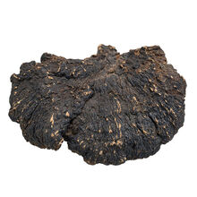 野生灵芝薄树灵芝薄盖芝灵芝500克买切片磨粉 500克灵芝(2-6块)