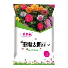 小镇有花 重瓣太阳花种子 花卉盆栽 四季易活花种子花卉种子室内阳台盆栽 混色型 厂商封装 重瓣太阳花种子 2克 大约2万粒 厂商封装