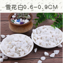 白色碎石子 【五斤】小白石子鹅卵石原石天然多肉铺面园艺造景花盆白色石头定制 雪花白0.6-0.9CM(5斤装)