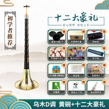 宏艺凤鸣唢呐乐器全套乌木木演奏考级d调初学者入门喇叭 初学 乌木D调唢呐黄碗+12大