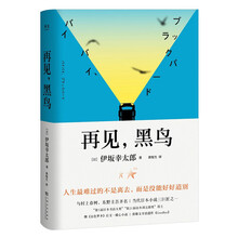 再见，黑鸟（精装典藏版）