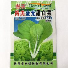 揭美25克小白菜种子 甜脆好吃小白菜 高产耐热易种四季播菜籽 黄叶白菜 赤叶小白菜黑叶白菜 揭美金光甜白菜种子，原厂包装25克