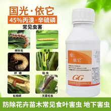 国光依它丙溴辛硫磷草坪草坪地下害虫虎蛴螬蝼蛄地老虎棉铃虫螟虫食叶害虫杀虫剂 国光依它200ml