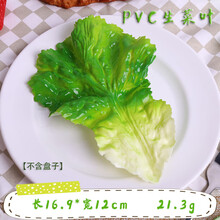 仿真生菜叶模型塑胶假菜叶果蔬食物食品菜盘搭配蔬菜叶子道具拍摄 PVC生菜叶片