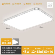 欧潽丽家 客厅灯 led吸顶灯长方形卧室灯主卧 房间灯 过道灯饰 餐厅灯具 银色60*40cm-白光48w 适用12-18m²