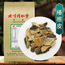 京皖 椿根皮 中药饮片 按方抓药 100g/袋