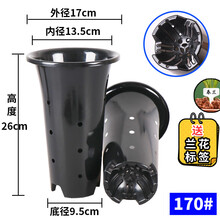 兰科兰花盆塑料大中小号透气黑色带孔国兰君子兰墨兰花专用盆型号齐全 中号侧孔兰花盆170#