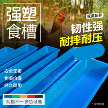 鸡槽喂鸡食槽喂水防撒长方形喂食器塑料槽鸡鸭鹅羊养殖饲料槽养殖 说明：两件起