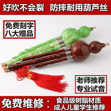 葫芦丝c调成人初学乐器学生儿童入门演奏防摔耐用胶木葫芦丝 仿红木C调【学习指南+皮盒+中国结】