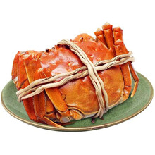 航海日记六月黄大闸蟹鲜活螃蟹满黄新鲜海鲜水产河蟹 六月黄 （1-1.5两）24只装