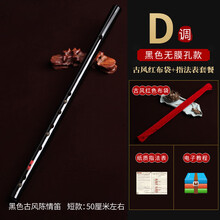 陈情令同款笛子竹笛初学乐器女生自学横笛精制演奏笛子 陈情+问灵诗【D】(笛膜+笛膜胶套餐)