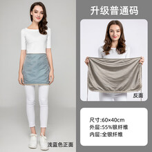 朵朵康 防辐射服孕妇防辐射装防辐射肚兜围裙女衣服怀孕期上班族电脑四季隐形内穿 浅蓝色双层(普通码) 均码