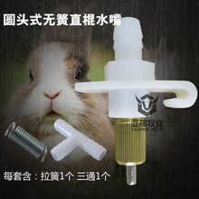 兔子饮水器兔用自动饮水器獭兔兔喝水器兔子养殖用品兔子用水嘴 圆头无簧直棍款