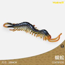 全球剧毒排行榜蝙蝠眼镜蛇巨蜥蜈蚣蜘蛛蝎子蜜獾动物模型 蜈蚣 | 长8厘米
