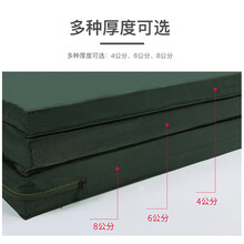 亿家人（Yijiaren）医用病床床垫家用护理床垫带便孔折叠凉席医院用双摇单摇老人棕垫 护理床-双摇床垫+4CM棕丝+4CM海绵