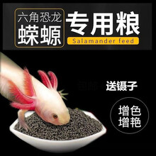 鱼粮食饲料六角龙鱼饲料下沉UT饲料底栖鱼冻干肉虾 小颗粒*1罐 冻干肉虾*1包
