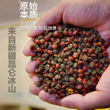 胎菊菊花茶正宗天山雪菊胎菊花茶高原冰山血菊昆仑雪菊胎菊王 新疆昆仑雪菊胎菊优选100罐装