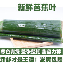 风车车农场云南新鲜芭蕉叶 垫盘泼水粑粑 做糍粑粽子 傣式包烧烤鸡 3000g
