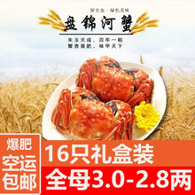 【活蟹】必有重蟹盘锦河蟹稻田蟹特大全母大闸蟹鲜活螃蟹现货生鲜水产毛蟹海鲜水产2两大蟹六月黄小螃蟹 【稻田蟹】0.8-0.6两全母30+送5只抵损耗