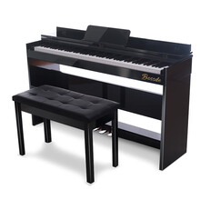 博仕德 初学者自学幼师立式电钢琴家用专业成人电钢智能数码翻盖电钢琴88键重锤电子钢琴 【初学考级】重锤键-烤漆黑(配双人凳+大礼包)