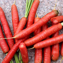 美农汇 胡萝卜种子黄色水果胡萝卜七寸五寸参萝卜种籽四季庭院蔬菜种子水果胡萝卜籽 玫瑰红胡萝卜10克(夏季播种)