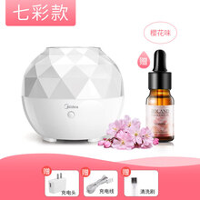 美的usb小型加湿器卧室家用静音办公室桌面宿舍学生床上迷你香薰机精油净化空气保湿补水夜灯可爱女生日礼 纳米雾化+七彩灯【赠樱花精油＋充电头+清洗刷】