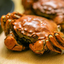 安小离大闸蟹鲜活现货螃蟹一元蟹0.5-2.2两河蟹毛蟹稻田蟹 四元蟹20只送10只