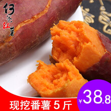 现挖农家新鲜湛江何爸红薯沙地香甜软糯红心地瓜番薯5斤
