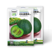 中科茂华水果种子中科绿香帅甜瓜种子绿皮绿肉薄皮香瓜600粒