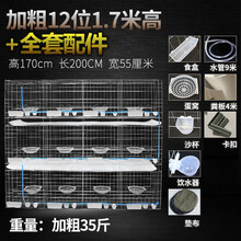 大号加粗鸽子用品用具12位16位养殖鸽子笼信鸽配对笼肉鸽繁殖笼子 加粗12位1.7米高+全套配件