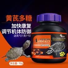 龟药 乌龟药爬宠营养品乌龟常备药爬虫电解质维生素蜥蜴钙粉感冒拉稀浮水白眼腐皮 黄多糖70g
