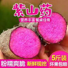 21年新果赣南紫山药新鲜蔬菜现挖农家脚板薯紫玉淮山紫色毛薯 5斤装
