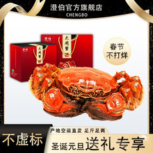 【活蟹】现货澄伯大闸蟹鲜活特大螃蟹可全母奢华礼盒 海鲜水产 公蟹4.0-4.3两母蟹3.0-3.3两 现货公蟹4.5两 母蟹3.5两 4对8只