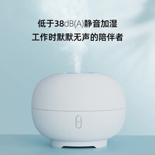 飞科加湿器 家用卧室办公室桌面迷你净化功能大容量孕妇儿童空加湿器FH9200 白色