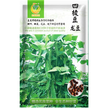 凤鸣雅世四棱豆种子苗蔬菜种子菜豆角扁春四角豆种子四季种籽四棱豆苗种孑龙豆四棱豆种子10粒
