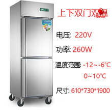 四门冰箱商用立式上下双门冰箱双温冷藏冷冻冰柜保鲜柜大容量冷柜历占 双门冰箱(双温)0~8℃/-6~-12℃