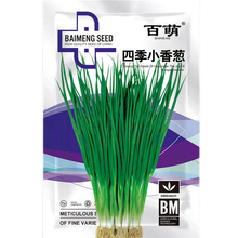 百萌（BAI MENG）蔬菜种子庭院阳台 四季小香葱种子 盆栽小葱种籽 蔬菜种子籽四季播易种蔬果种子 四季小香葱种子 10克 厂商封装