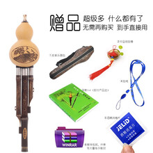 舒弗（LACHOUFFE）葫芦丝学生 成人 初学 演奏型 17762967057乐器 C调 降B调 降B调+书