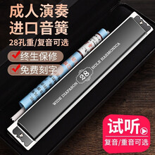 德国进口音簧天鹅28孔重音C调口琴高级成人专业演奏级复音初学者乐器送礼佳品 黑色复音C调【专业演奏级】+全套赠品