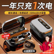 蓝牙耳机真无线降噪音乐游戏长续航单双耳入耳式豆式运动适用苹果华为一加vivo荣耀oppo三星红米 【炫酷黑】蓝牙5.3+无感延迟 轻盈便携|三真数显|强...
