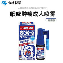 日本进口小林制药 喉咙喷雾嗓子疼咽喉喉咙肿痛口腔扁桃体红肿炎症喷雾剂喉咙露咽喉干涩疼痛喷雾水 喉咙喷雾 清凉感 15ml