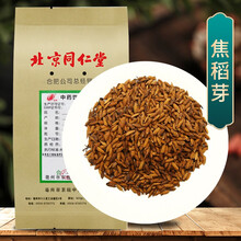 京皖 焦稻芽 中药饮片 按方抓药 100g