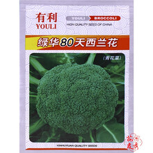 花友秀 西兰花种子 西蓝花蔬菜种子 松花80花菜种子 有机花菜 青花菜 庭院种植易种 绿华80天西兰花种子原装2g