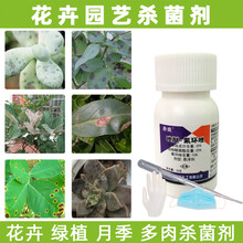 植物剂通用型赤炎唑醚氟环唑花草植物叶斑病多肉烟煤病剂 300g