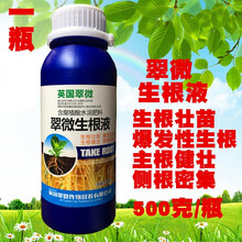 英国进口生根剂生根壮苗剂 生根液大树花卉蔬菜移栽扦插500克 翠微生根液500克