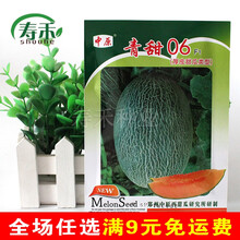 甜瓜哈密瓜种子超甜秧四季香瓜春季种籽孑春天苗南方种植秧子秧苗 青甜06【厚皮网纹】 10g原装