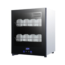 海花（haihua）消毒柜家用小型二星级立式 饭店幼儿园餐具 迷你厨房商用双层高温保洁婴儿消毒碗柜 HD01-60高温两层